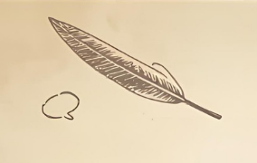 The Snowball Effect: How I’m Growing My Portfolio from Scratch